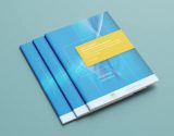 Atlantic Philanthropies and Irish Government Partnership-Based Co-Investments Atlantic Philanthropies and Irish Government Partnership-Based Co-Investments