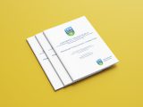 Philanthropic Giving in Ireland: a Scoping Project Philanthropic Giving in Ireland: a Scoping Project